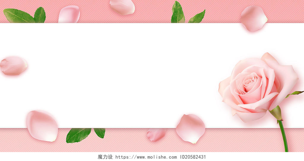 粉色玫瑰花鲜花38妇女节三八花瓣花朵边框背景妇女节背景